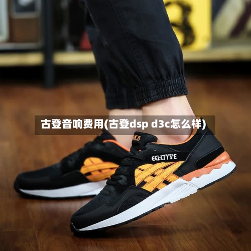 古登音响费用(古登dsp d3c怎么样)-第3张图片