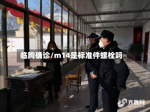 临朐确诊/m14是标准件螺栓吗-第2张图片