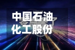 中国石油化工股份连续2日回购，累计回购462.60万股-第2张图片