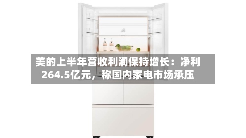 美的上半年营收利润保持增长：净利264.5亿元	，称国内家电市场承压-第3张图片