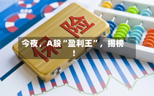 今夜，A股“盈利王”	，揭榜！-第3张图片