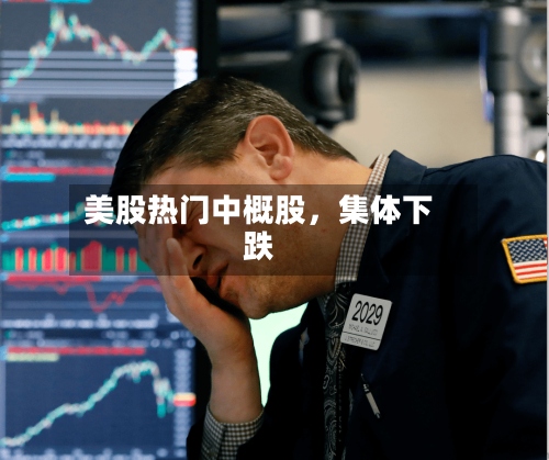美股热门中概股，集体下跌-第3张图片