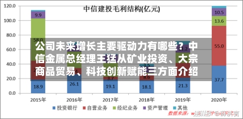 公司未来增长主要驱动力有哪些？中信金属总经理王猛从矿业投资、大宗商品贸易	、科技创新赋能三方面介绍-第3张图片
