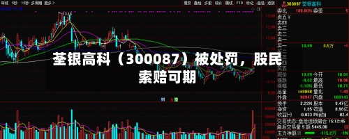 荃银高科（300087）被处罚	，股民索赔可期-第2张图片