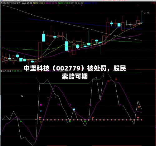 中坚科技（002779）被处罚	，股民索赔可期-第2张图片