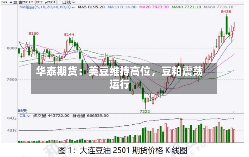 华泰期货：美豆维持高位，豆粕震荡运行-第2张图片