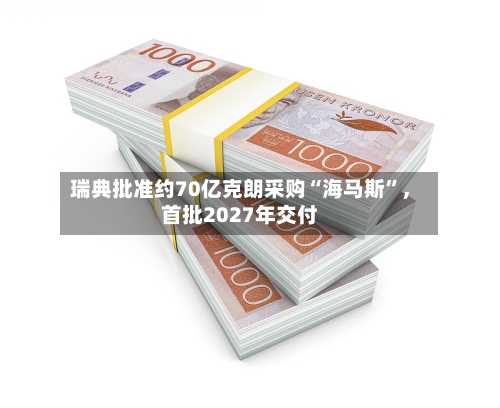 瑞典批准约70亿克朗采购“海马斯”，首批2027年交付-第3张图片