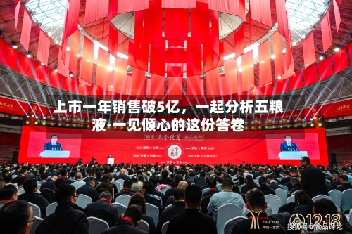上市一年销售破5亿，一起分析五粮液·一见倾心的这份答卷-第3张图片