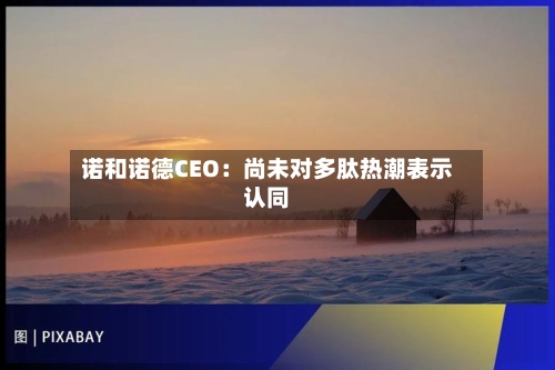诺和诺德CEO：尚未对多肽热潮表示认同-第2张图片