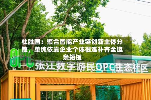 杜胜国：聚合智能产业链创新主体分散，单纯依靠企业个体很难补齐全链条短板-第2张图片