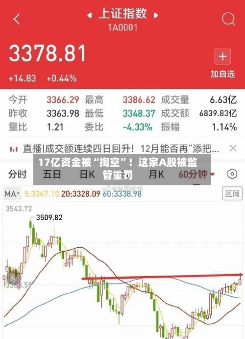 17亿资金被“掏空	”！这家A股被监管重罚-第2张图片