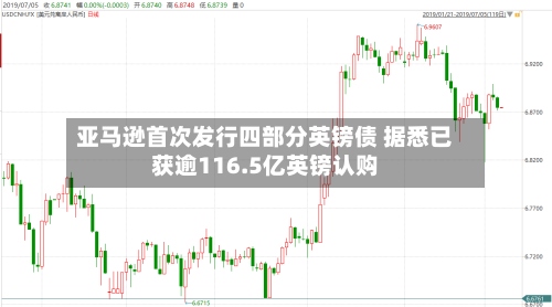 亚马逊首次发行四部分英镑债 据悉已获逾116.5亿英镑认购-第1张图片