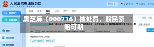 黑芝麻（000716）被处罚，股民索赔可期-第2张图片