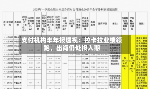 支付机构半年报透视：拉卡拉业绩领跑	，出海仍处投入期-第2张图片