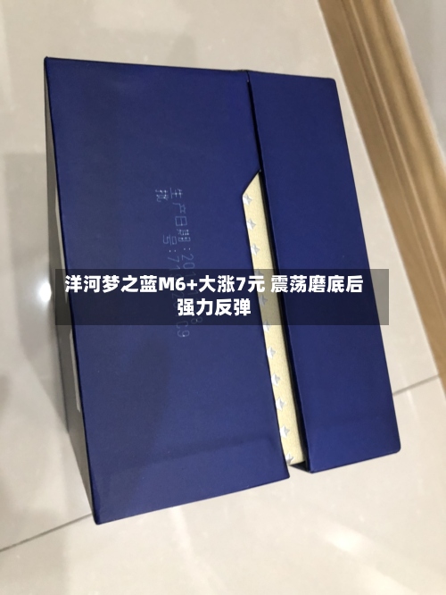 洋河梦之蓝M6+大涨7元 震荡磨底后强力反弹-第2张图片