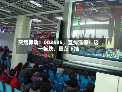 突然异动！002585，直线涨停！这一板块，震荡下挫
