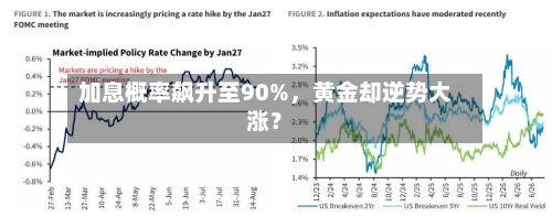 加息概率飙升至90%，黄金却逆势大涨？-第2张图片