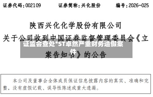 证监会查处*ST卓然严重财务造假案件-第3张图片