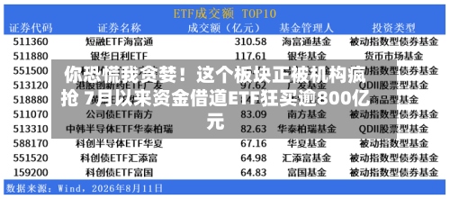 你恐慌我贪婪！这个板块正被机构疯抢 7月以来资金借道ETF狂买逾800亿元-第3张图片