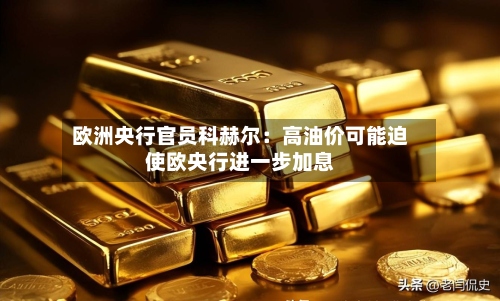 欧洲央行官员科赫尔：高油价可能迫使欧央行进一步加息