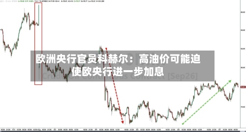 欧洲央行官员科赫尔：高油价可能迫使欧央行进一步加息-第2张图片