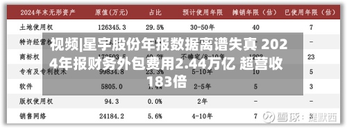 视频|星宇股份年报数据离谱失真 2024年报财务外包费用2.44万亿 超营收183倍