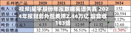 视频|星宇股份年报数据离谱失真 2024年报财务外包费用2.44万亿 超营收183倍-第2张图片