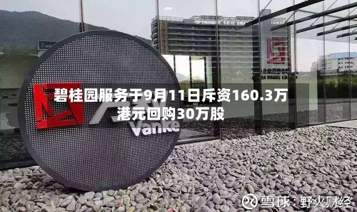 碧桂园服务于9月11日斥资160.3万港元回购30万股-第1张图片