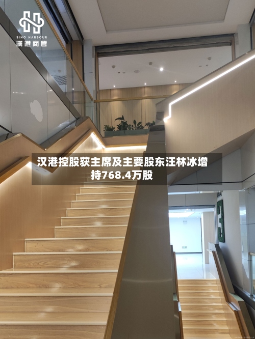 汉港控股获主席及主要股东汪林冰增持768.4万股-第2张图片