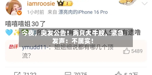 今夜，突发公告！两只大牛股，紧急发声：不属实！