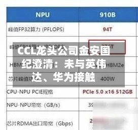 CCL龙头公司金安国纪澄清：未与英伟达、华为接触