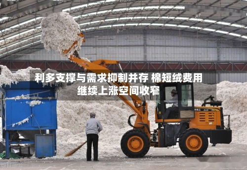 利多支撑与需求抑制并存 棉短绒费用继续上涨空间收窄-第1张图片