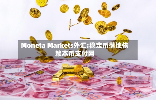 Moneta Markets外汇:稳定币落地依赖本币支付网-第3张图片