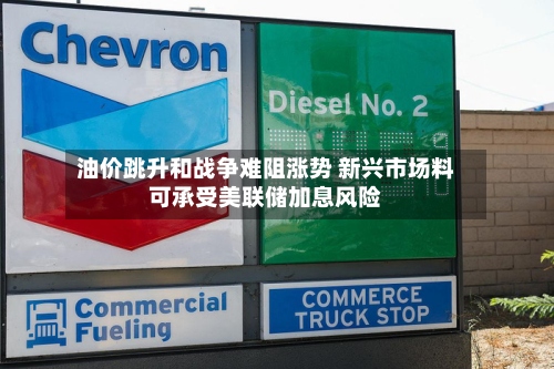 油价跳升和战争难阻涨势 新兴市场料可承受美联储加息风险