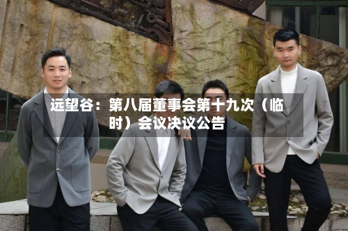 远望谷：第八届董事会第十九次（临时）会议决议公告