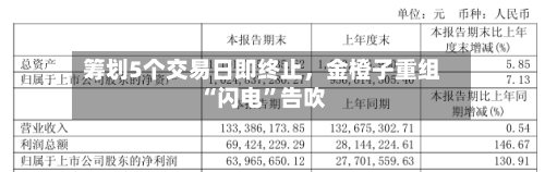 筹划5个交易日即终止，金橙子重组“闪电”告吹-第2张图片