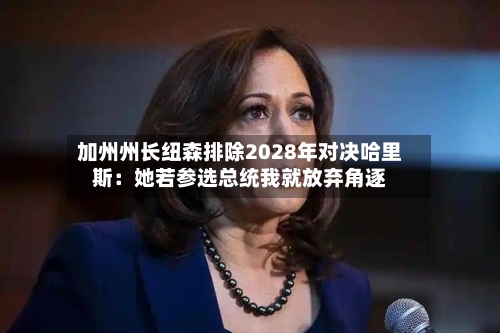 加州州长纽森排除2028年对决哈里斯：她若参选总统我就放弃角逐-第3张图片
