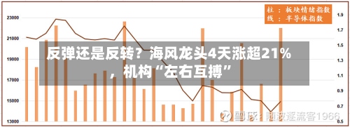 反弹还是反转？海风龙头4天涨超21%	，机构“左右互搏	”-第2张图片