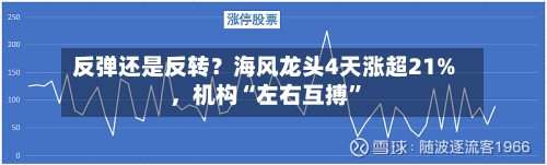 反弹还是反转？海风龙头4天涨超21%，机构“左右互搏”-第3张图片