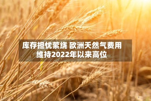 库存担忧萦绕 欧洲天然气费用维持2022年以来高位
