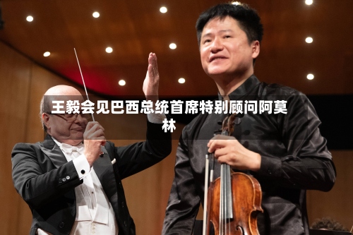 王毅会见巴西总统首席特别顾问阿莫林-第2张图片