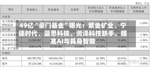 49亿“豪门基金”曝光：紫金矿业	、宁德时代、蓝思科技、润泽科技联手，瞄准AI与具身智能-第3张图片