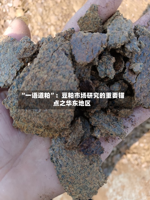 “一语道粕”：豆粕市场研究的重要锚点之华东地区-第2张图片