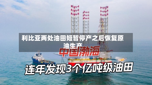 利比亚两处油田短暂停产之后恢复原油生产