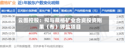 云图控股:拟与藏格矿业合资投资刚果(布)钾盐项目-第1张图片