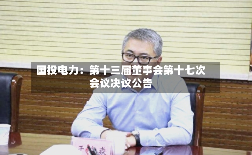 国投电力：第十三届董事会第十七次会议决议公告