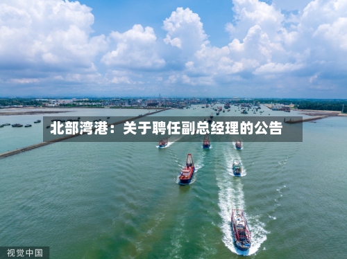 北部湾港：关于聘任副总经理的公告
