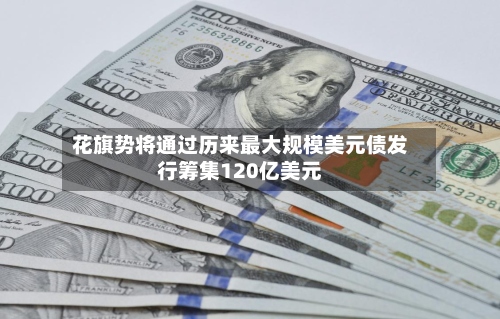 花旗势将通过历来最大规模美元债发行筹集120亿美元