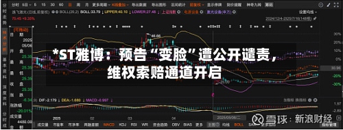 *ST雅博：预告“变脸”遭公开谴责，维权索赔通道开启-第2张图片