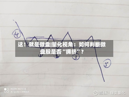 这！就是微盘|量化视角：如何判断微盘股是否“拥挤”？